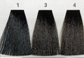 3 (ASH NATURALES) AEN COLOR PLEX 4.06 Fl. Oz./120ml.