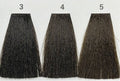 4 (ASH NATURAL) AEN COLOR PLEX 4.06 Fl. Oz./120ml.