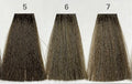 6 (ASH NATURAL) AEN COLOR PLEX 4.06 Fl. Oz./120ml.