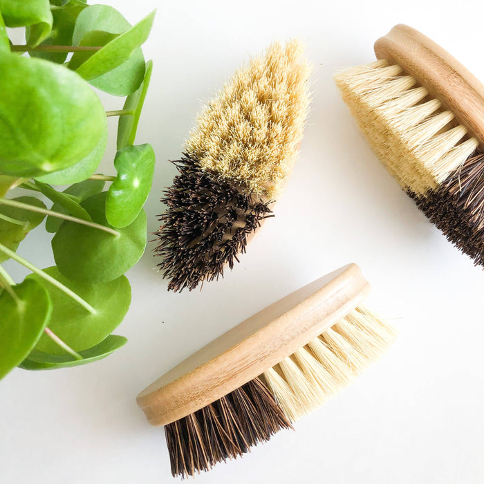 Bamboo Vegetable Brush - Sisal & Palm Bristles - Magnolia Lane co. Home + Garden + Gift