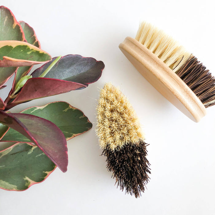 Bamboo Vegetable Brush - Sisal & Palm Bristles - Magnolia Lane co. Home + Garden + Gift