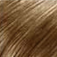 Light Ash Brown (14)