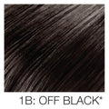 Bangs (Clip-ins, 100% Human Hair) HairArt Int'l Inc.