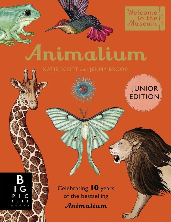 Book - Animalium