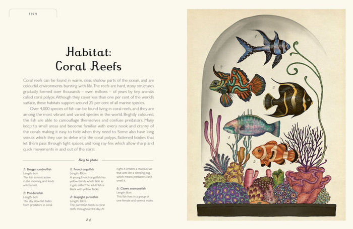 Book - Animalium - Spread 1