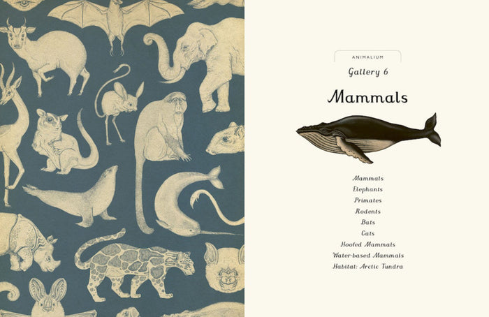 Book - Animalium - Spread 4