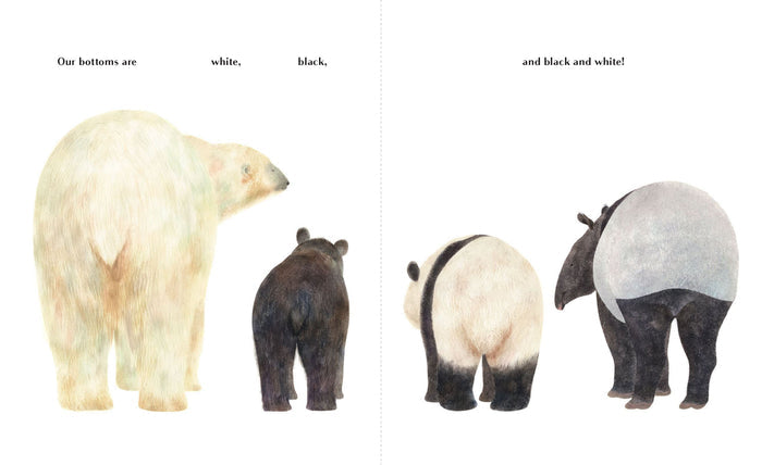 Book - Animals Brag About Their Bottoms - Spread 02