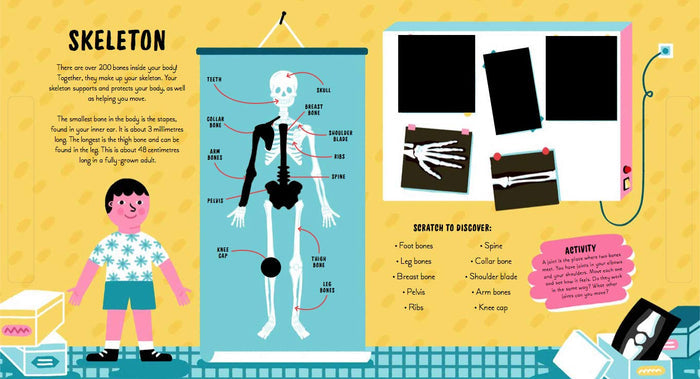 Book - Human Body (Scratch & Learn)