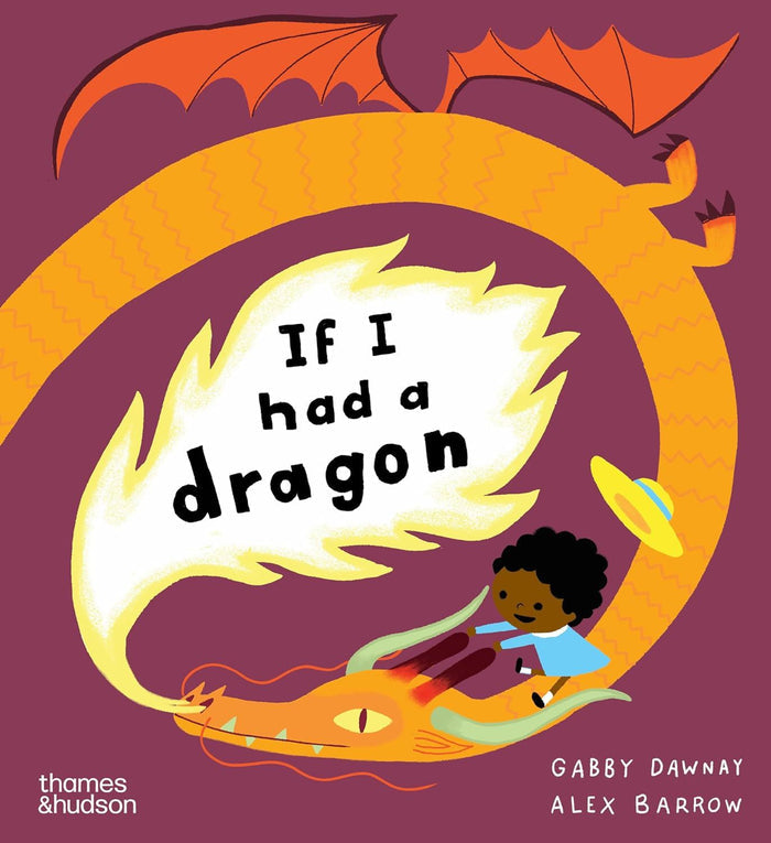 Book - If I Had A Dragon