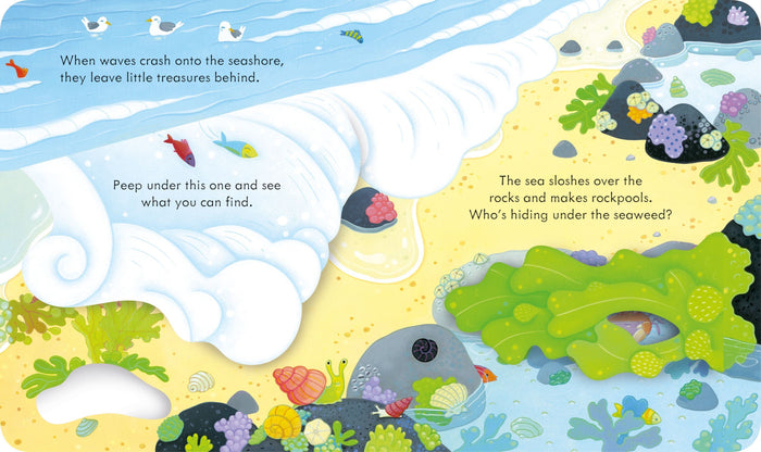 Book - Peep Inside The Seashore