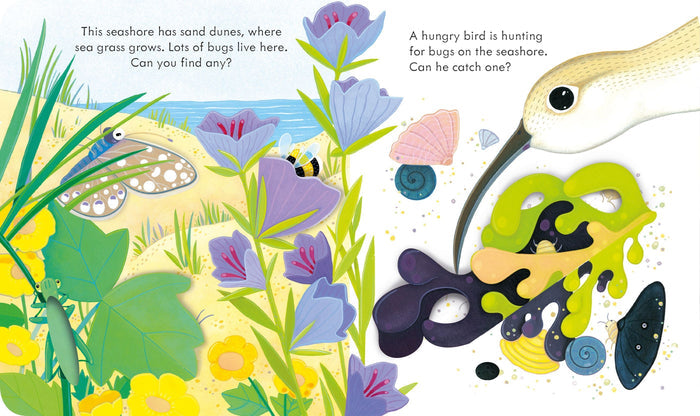 Book - Peep Inside The Seashore