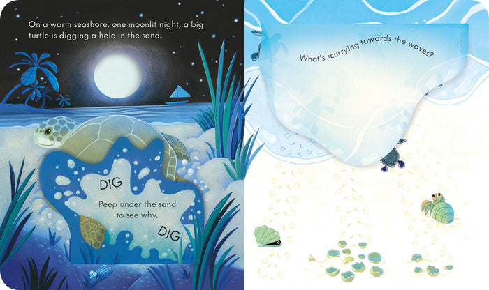 Book - Peep Inside The Seashore