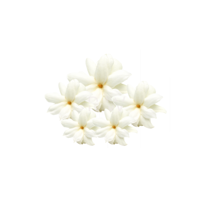 Compare to aroma GARDENIA  AIR FRESHENER & BURNING OIL ® (CLEARANCE)