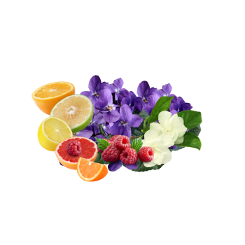 Compare to aroma LICK ME ALL OVER AIR FRESHENER & BURNING OIL®  (Wholesale) - REGEN THE BODY