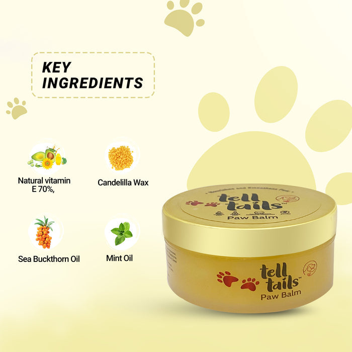 COMPLETE GROOMING KIT FOR DOGS