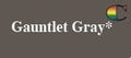 GAUNTLET GRAY | metzgermcguire spal pro rs 88 polyurea joint filler | XPS