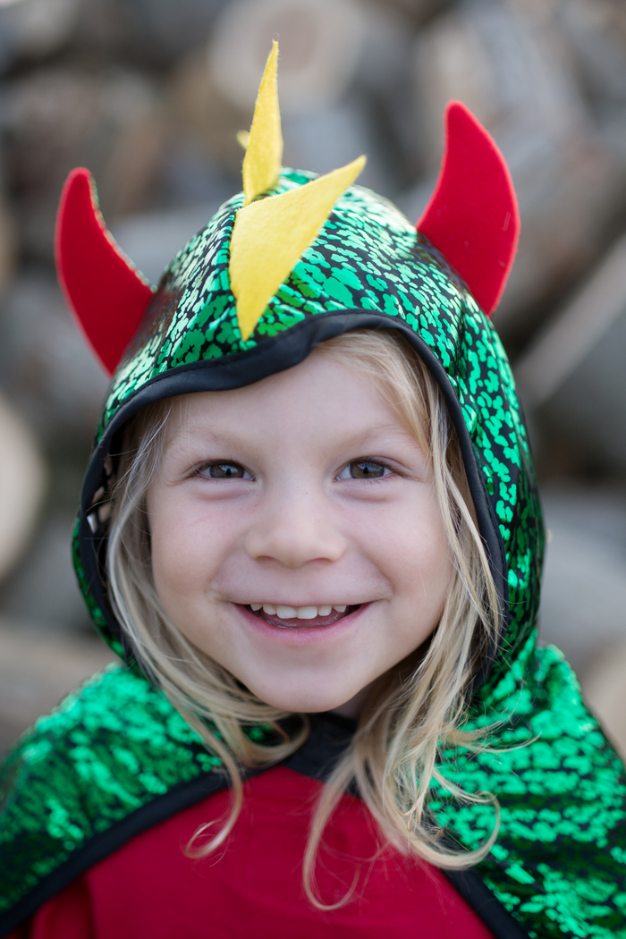 Dragon Knight Reversible Cape