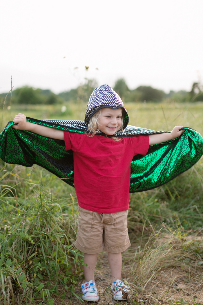 Dragon Knight Reversible Cape