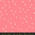 F2366 - Starry Watermelon