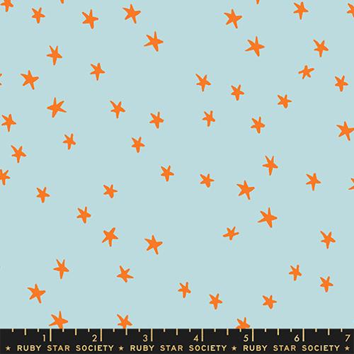 F2374 - Starry Polar