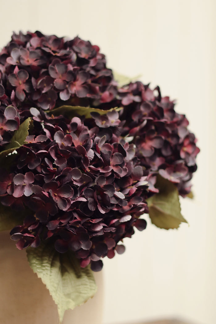 Heirloom Hydrangea Stem