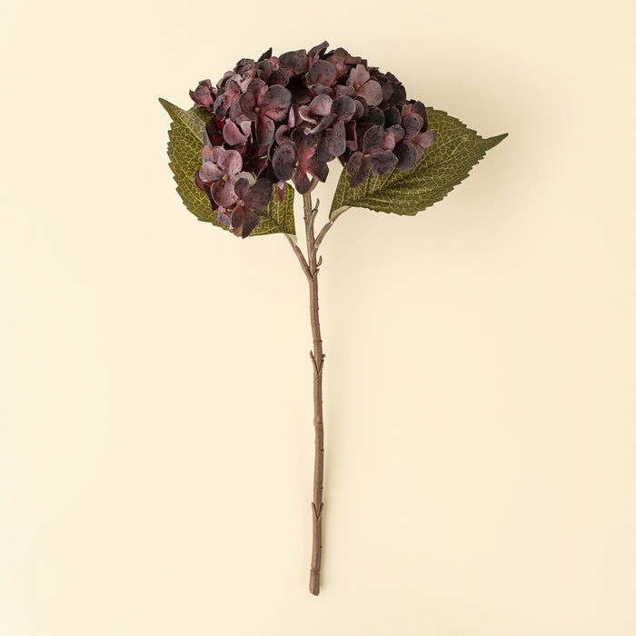 Heirloom Hydrangea Stem