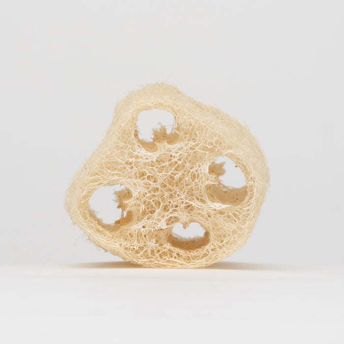 Heirloom Loofah