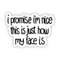 I Promise I'm Nice Sticker