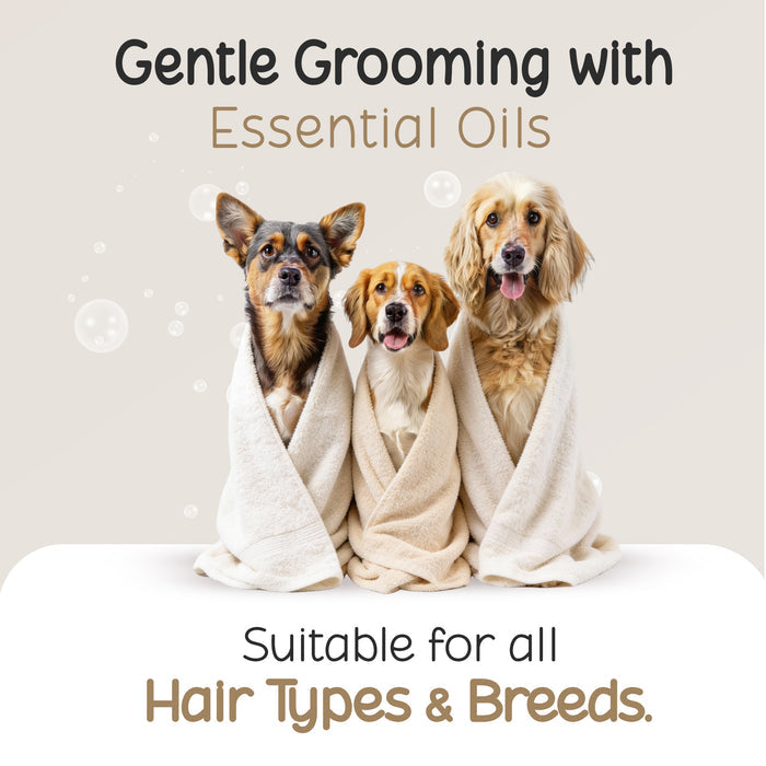 Itch No More Dog Shampoo