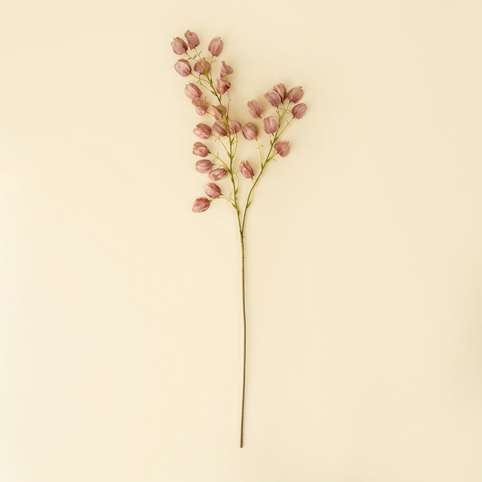 Lantern Flower Stem
