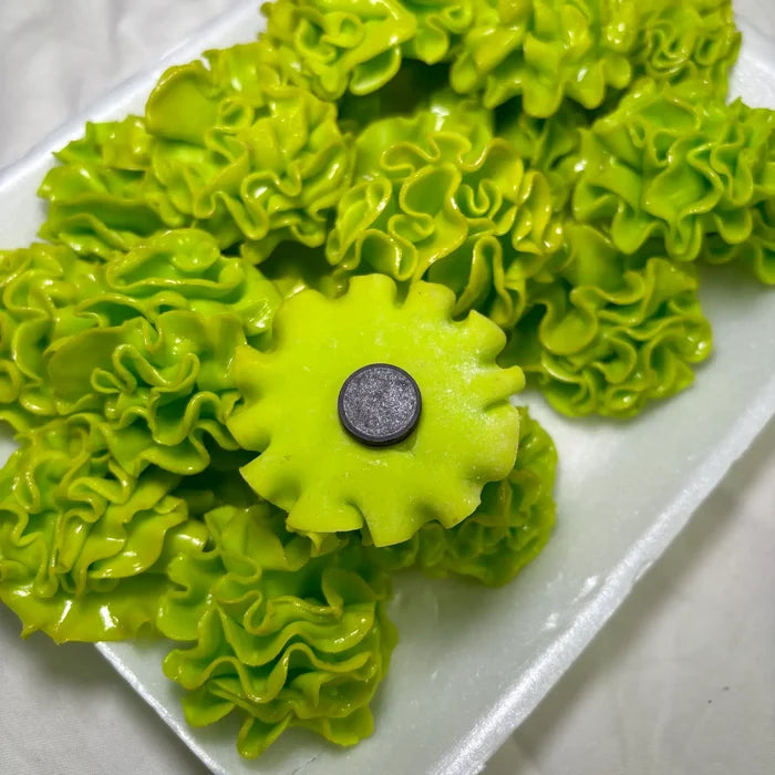 Lettuce Kitchen Magnet