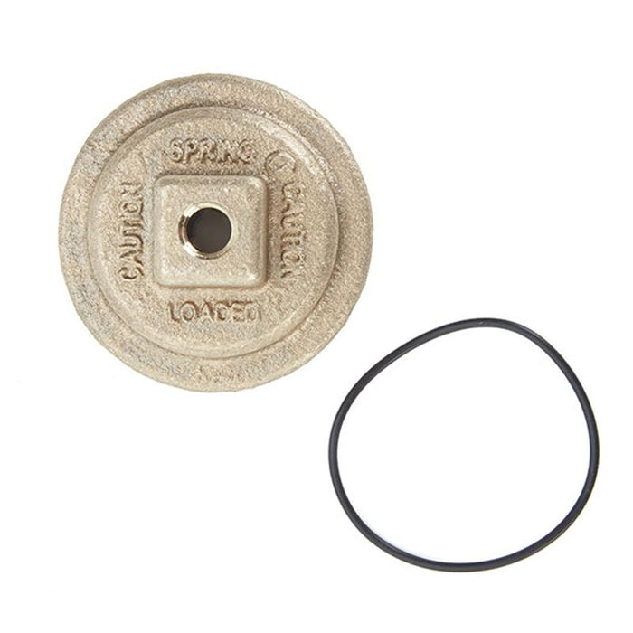 LFRK 919 C 1 1/4 - 1 1/2"  Check Cover Kit