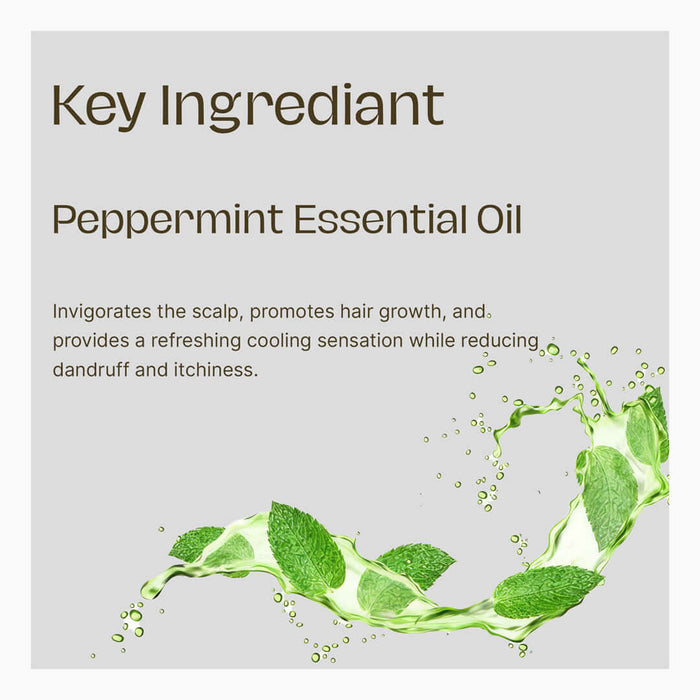 Shampoo for Oily Scalp in Pakistan - Mint Shampoo