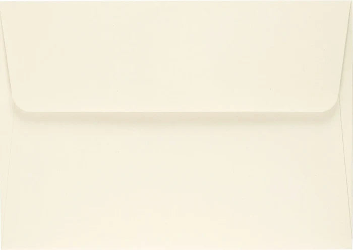 Mushrooms Note Cards