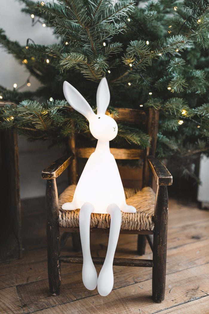 Night Light - Rabbit Sitting on Shelf - Rotating Head