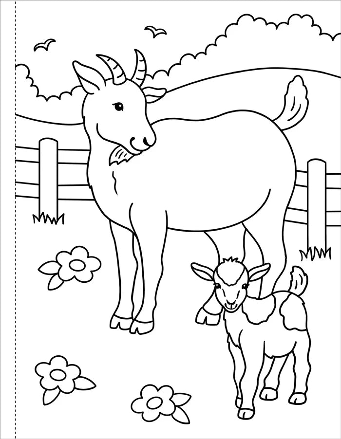 On The Farm Coloring Book