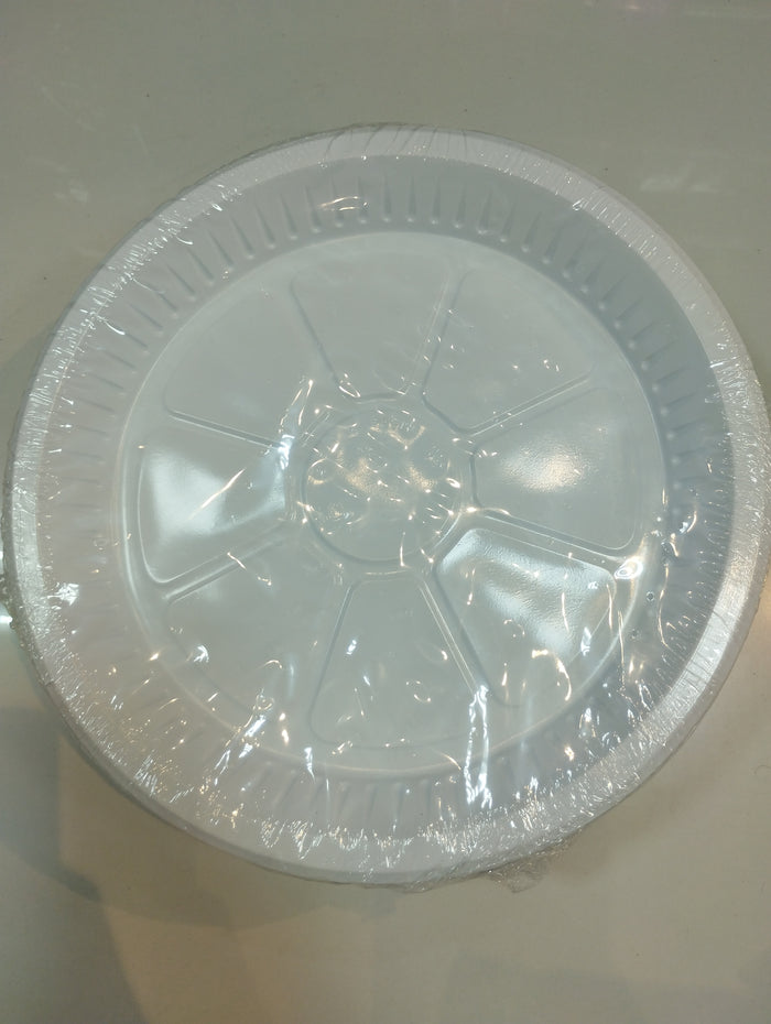 Plastic Plate (L)
