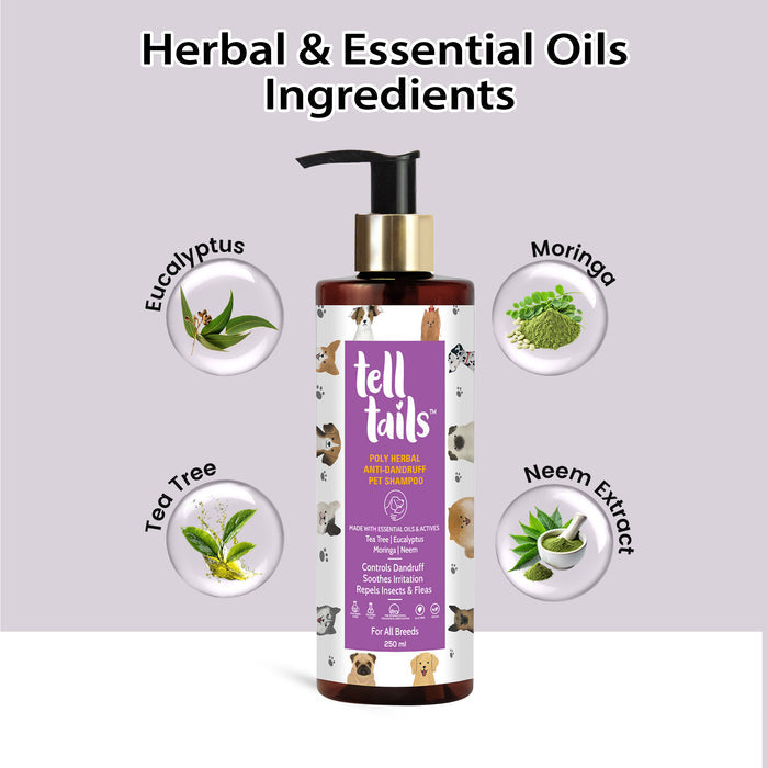 Poly Herbal Anti-Dandruff Pet Shampoo
