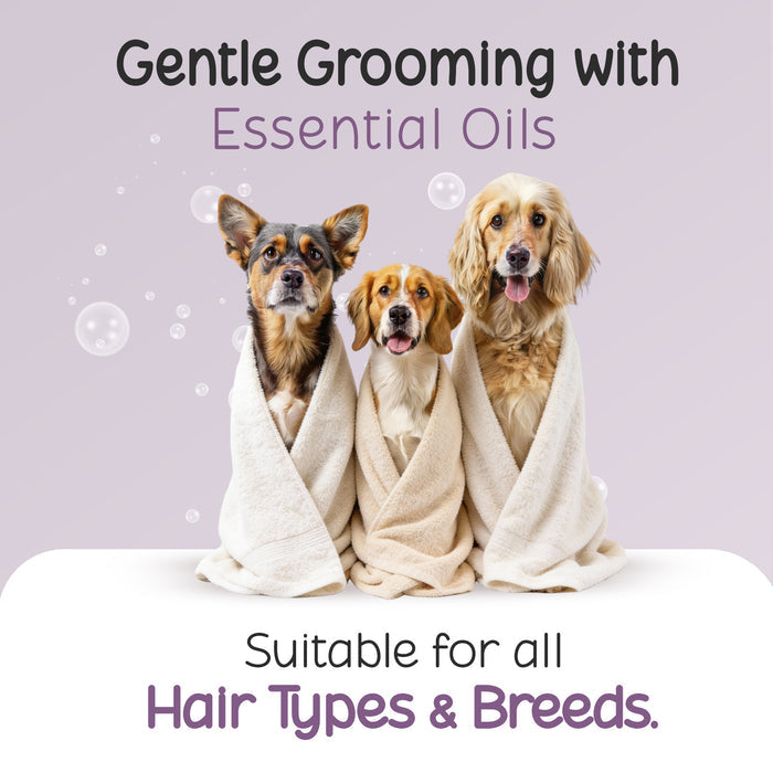 Poly Herbal Anti-Dandruff Pet Shampoo