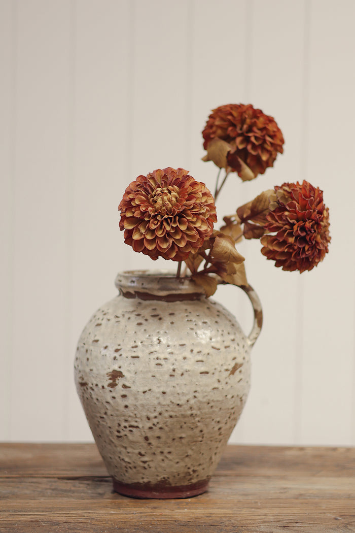 Pompon Dahlia Stem