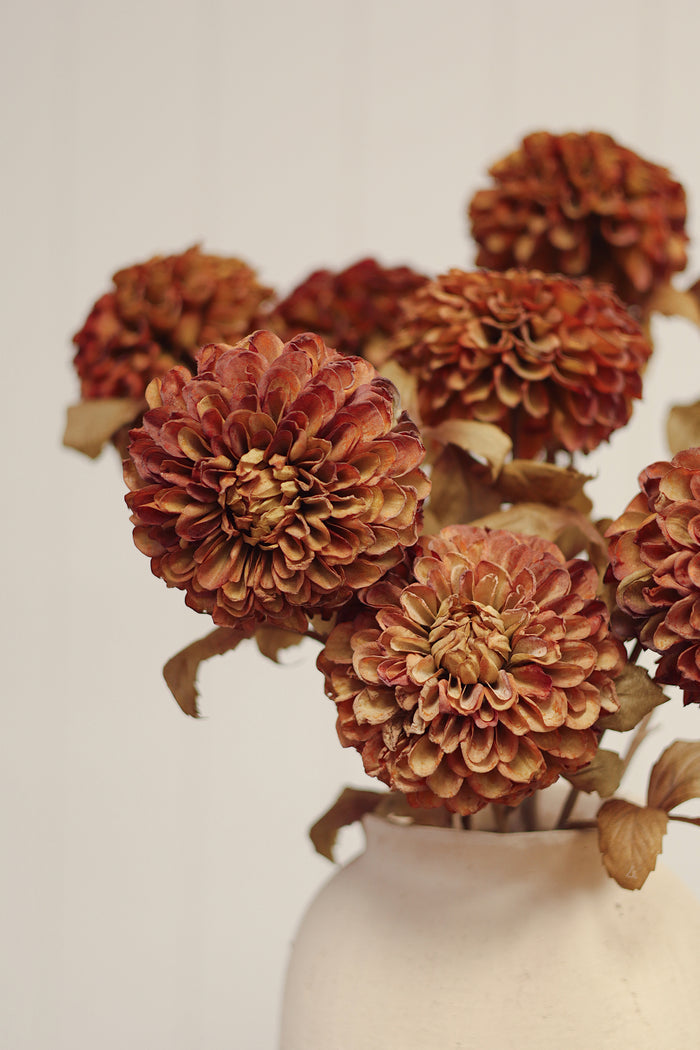 Pompon Dahlia Stem