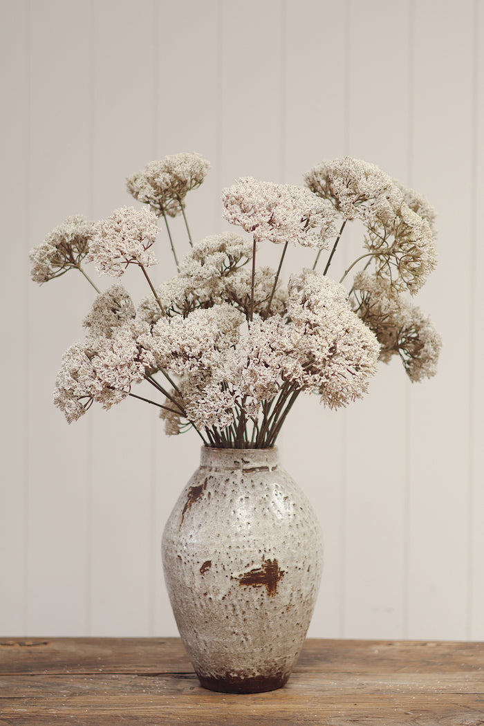 Queen Anne's Lace Spray