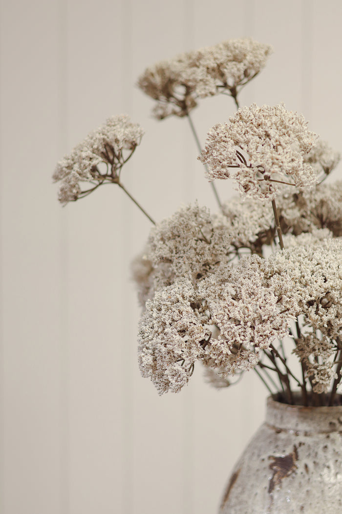 Queen Anne's Lace Spray