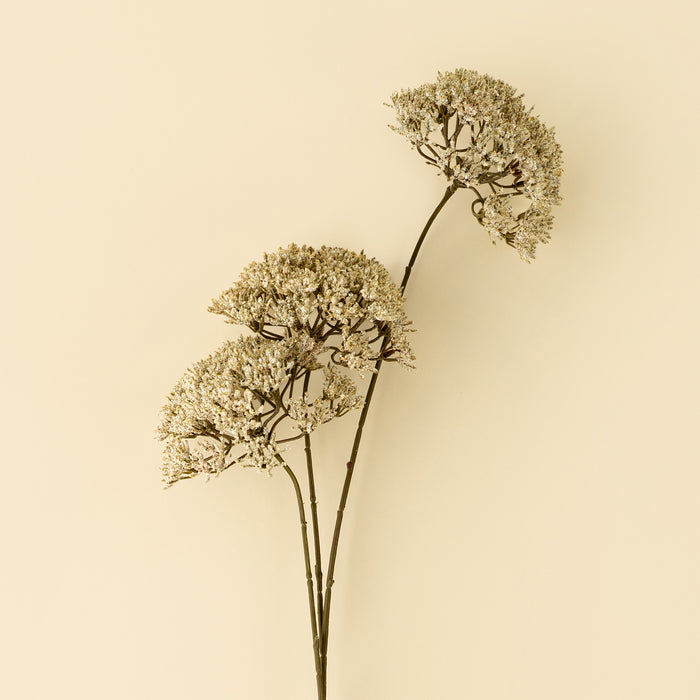 Queen Anne's Lace Spray