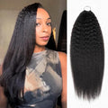 qvr hair kinky straight crochet human hair