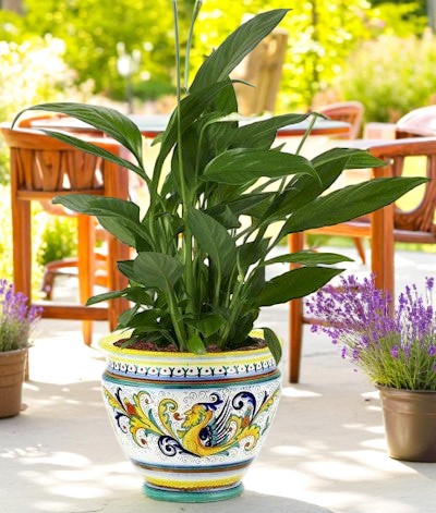 RAFFAELLESCO DELUXE: Luxury Cachepot Planter SM