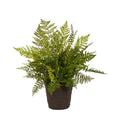 Raz Fern Plant Drop In