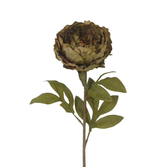 Sage 25"H × 5"DIA(Head) Polyester Cabbage Peony Stem