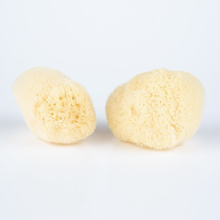 Two natural sponges on a light gray background