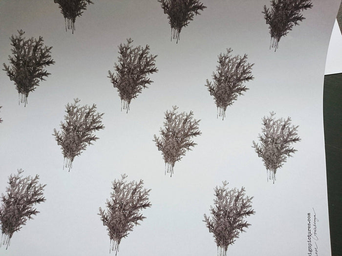 Set Of 3 Pieces Spruce Branches White Wrapping Paper - Magnolia Lane co. Home + Garden + Gift